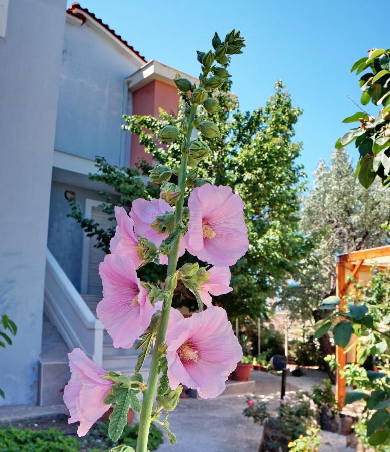 Edem Aparthotel Vatera Exterior photo
